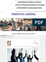 Ginástica Laboral Conceitos Tipos