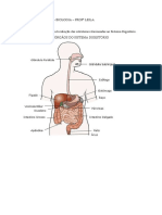 Imagem 1 Sistema Digestório