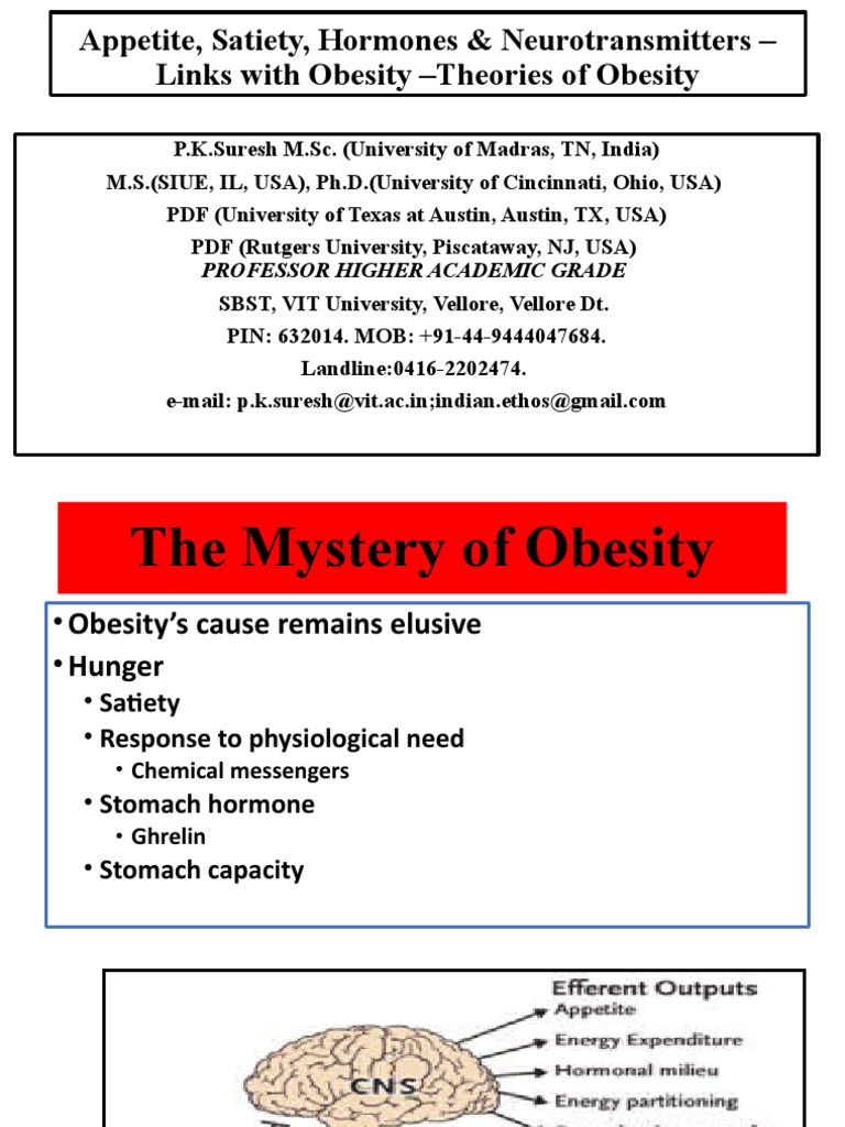 Satiety Signals And Glucose Metabolism preview