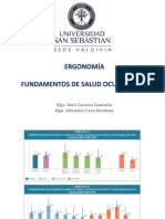 Fundamentos Salud Ocupacional