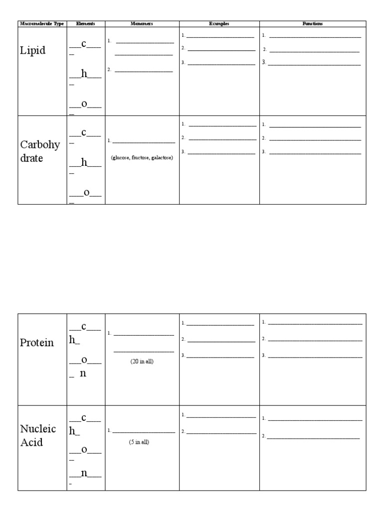 Overview of Macromolecule Types | PDF | Macromolecules | Natural Products
