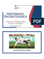 Fisioterapia Traumatológica: Lesões Articulares