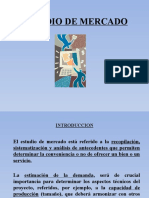 Estudio de mercado: Análisis del mercado objetivo