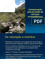 De valoração a incentivo: a evolução conceitual dos Pagamentos por Serviços Ambientais no Brasil
