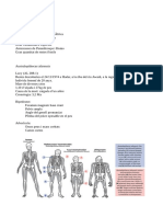 Apuntes IP 21-9