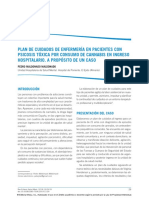 Plan de Cuidados de Enfermería en Pacientes Con Psicosis Tóxica Por Consumo de Cannabis en Ingreso Hospitalario. A Propósito de Un Caso