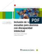 Inclusion Det i CD is Capac i Dad Intelectual