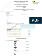 5.actividades Finales Del Primer Parcial