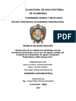 Universidad Nacional de San Cristóbal de Huamanga: Facultad de Ingeniería Química Y Metalurgia