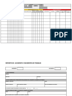 Formatos de Seguridad