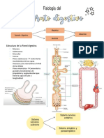 Resumen Fisiologia Sist Digestivo