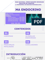 Sistema endocrino: glándulas, hormonas y regulación