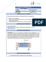Actividad3 LeyAmpere