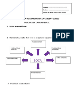 Guías de Practica Cavidad Bucal