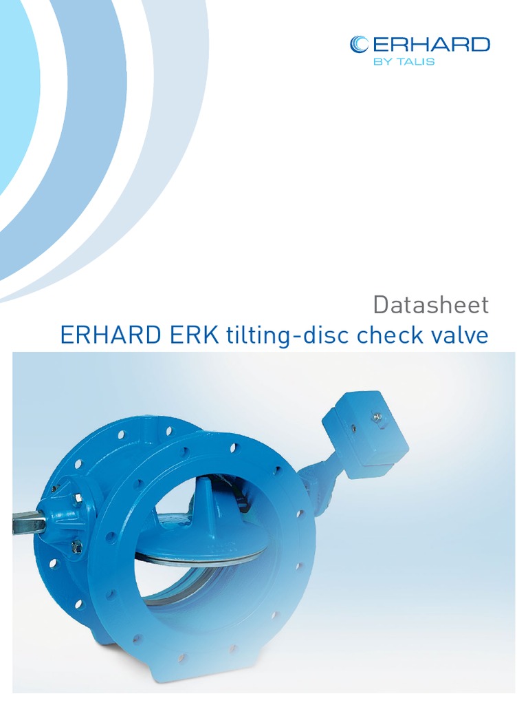 DS ERHARD ERK Titling Disc Check Valve EN PDF Valve Stainless Steel