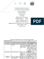 Matriz de Condiciones Fisicas y Ergonomia Ocupacioanl