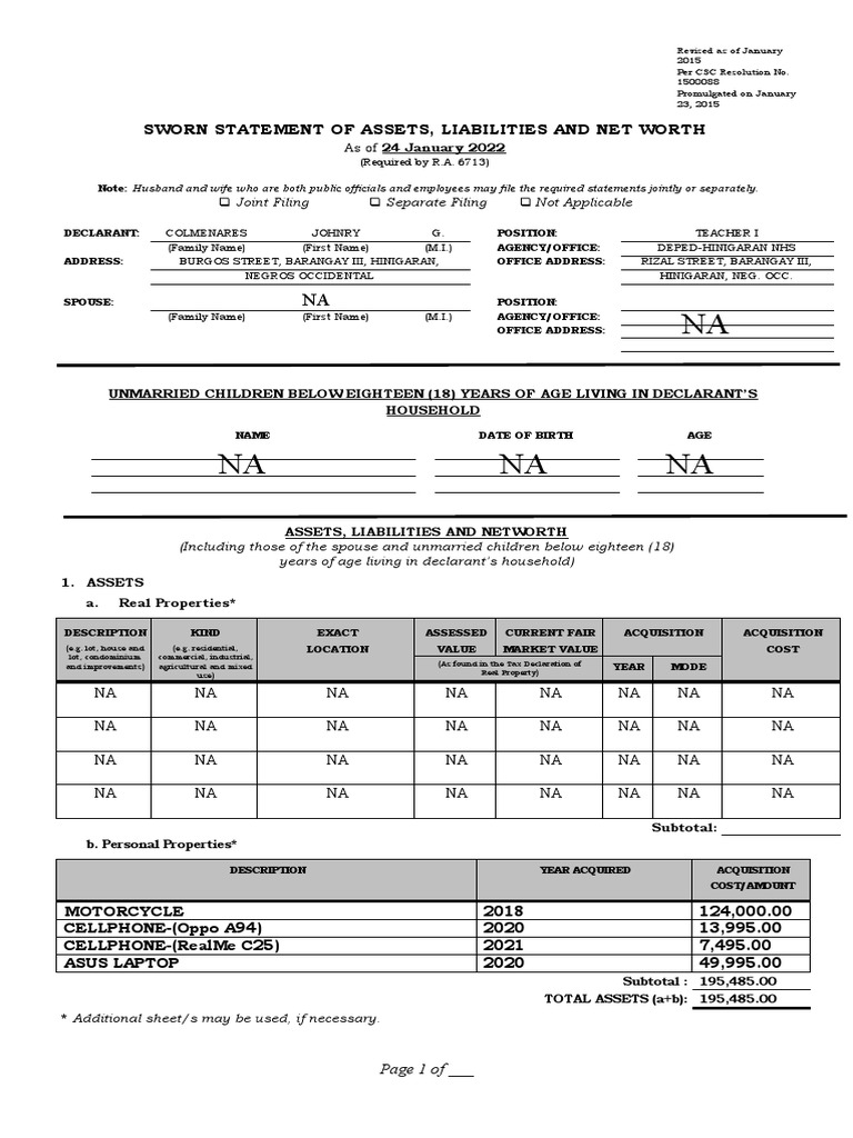 2015 saln form pdf net worth economies