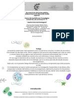 Bacterias (Estructura)