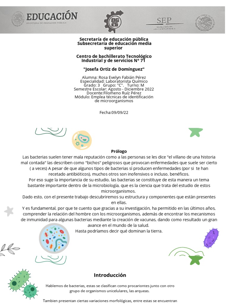 Estructura y Funciones de las Bacterias | PDF | Las bacterias ...