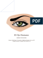 El Ojo Humano - Física