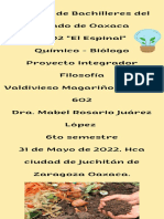 Filosofía Proyecto ..