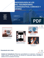 Clase N°4 - El Sistema Tegumentario, Capas de La Piel