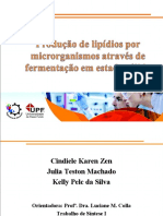 Apresentação em Slides de Produção de Lipídios Por Microrganismos Através Da Fes