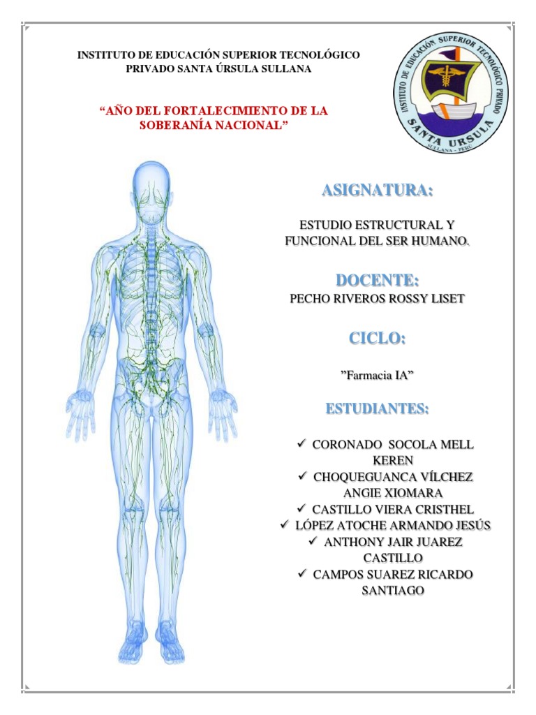 Sistema Linfatico Pdf Sistema Linfático Ganglio Linfático