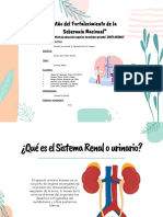 Sistema Renal (Trabajo Grupal)