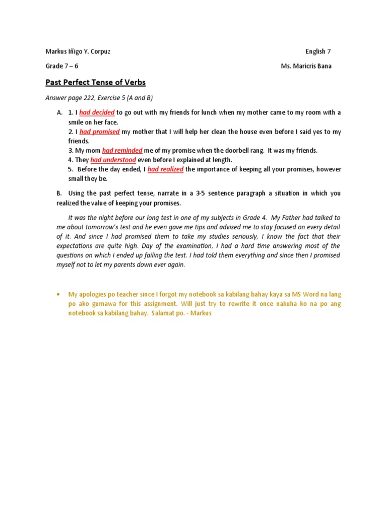 Past Perfect Tense Exercises and Reflection | PDF