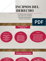 Principios Del Derecho