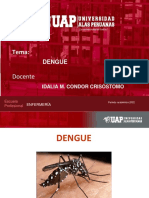 DENGUE