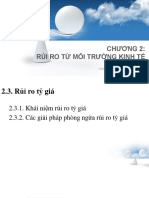 Chuong 2 2 Rui Ro Ty Gia Lecture Note