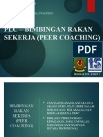 PLC - Peer Coaching BI