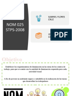 Nom 025 Stps-2008gabriel