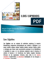 Los Lipidos 2003