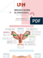 Embriología y anatomía de los genitales internos femeninos