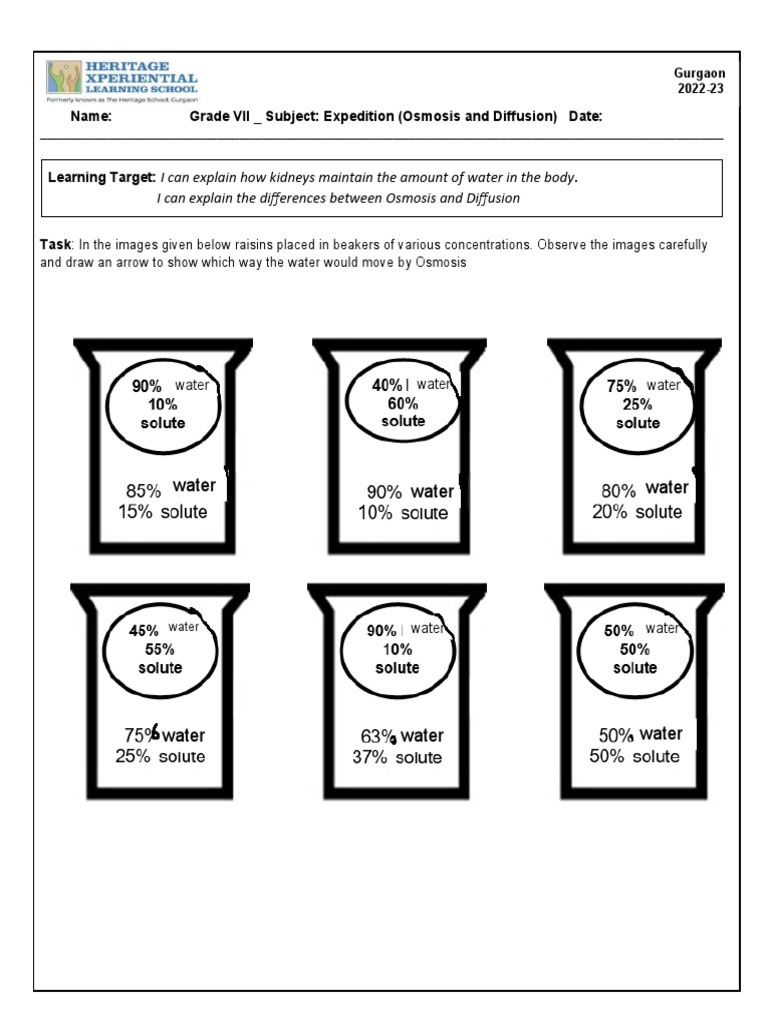 Exploring Osmosis and Diffusion A HandsOn Learning Activity About Water Movement Across