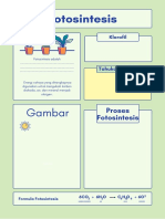 Lembar Kerja Biologi Fotosintesis Bergaris Hijau Dan Biru