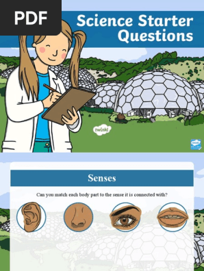 t Sc 2549289 Ks1 Science Starter Questions Powerpoint Ver 8
