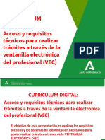 Curriculum Digital: Requisitos técnicos y sistemas de identidad para la VEC