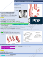 Tulburări Ale Motilității Esofagienejjj