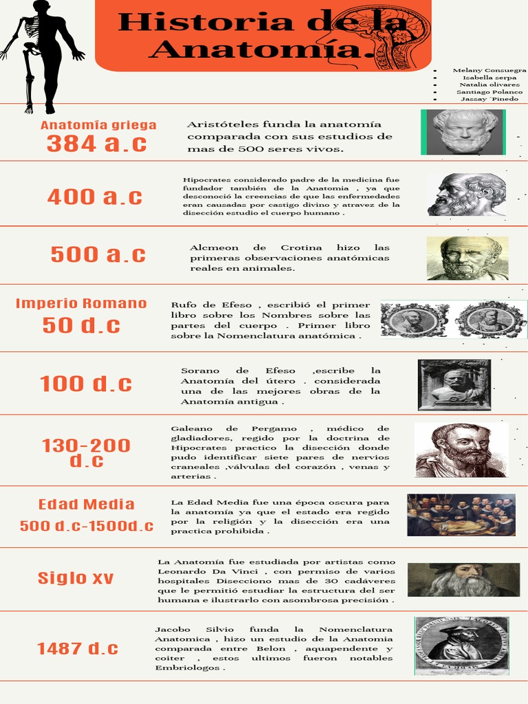 Historia de La Anatomía | PDF | Anatomía | Science