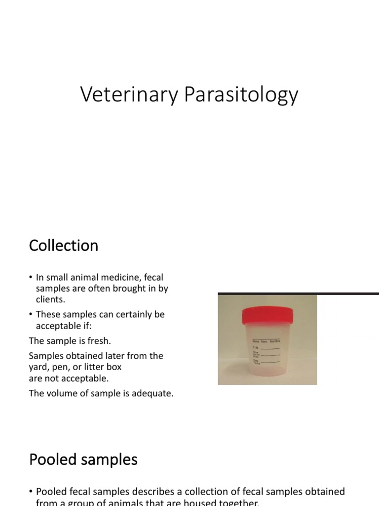 Veterinary Parasitology PDF Feces Microbiology