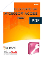 Curso Experto en Access 2007