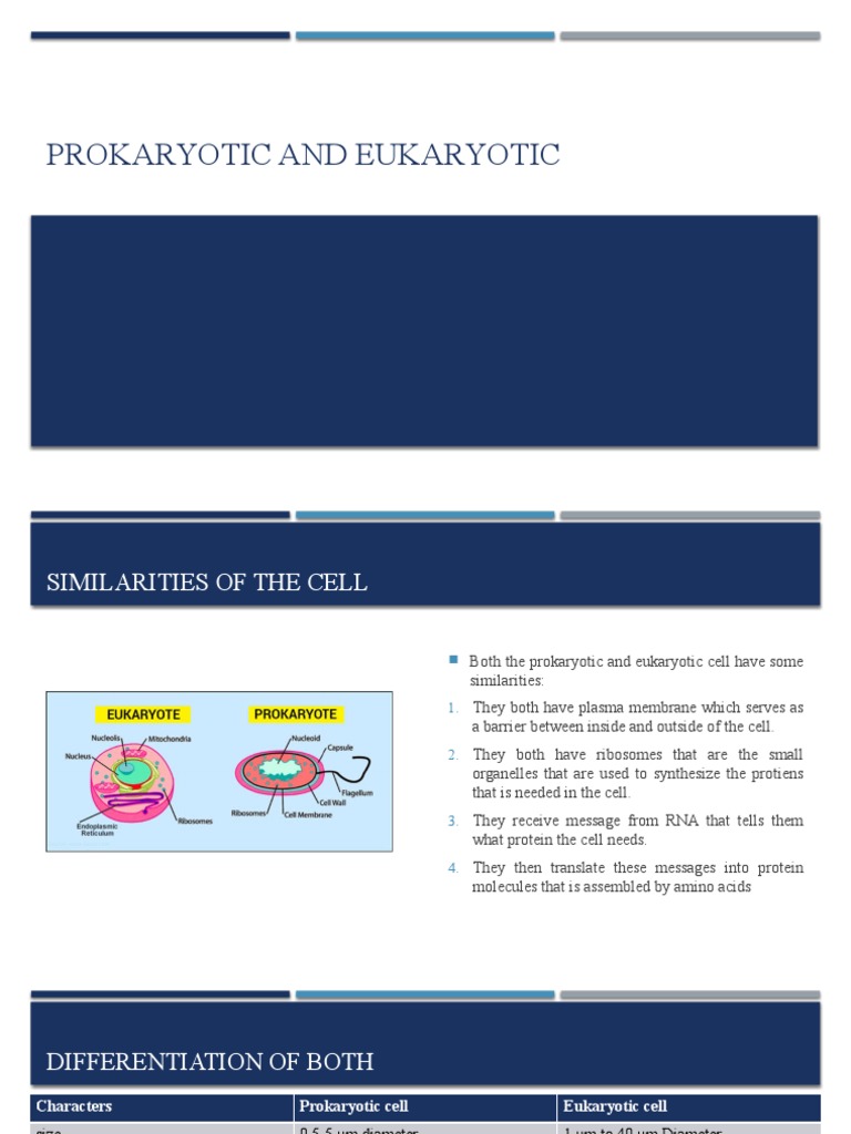 Is It Prokaryotic Or Eukaryotic The Definitive Guide To Vacuoles - z8g5d4e