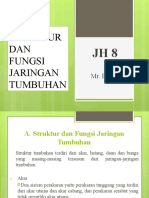 Struktur Dan Fungsi Jaringan Tumbuhan