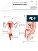 Evaluacion Cs 6to