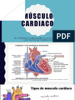 Músculo Cardiaco