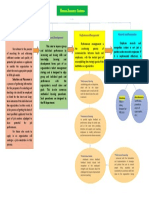 Graphic Organizer